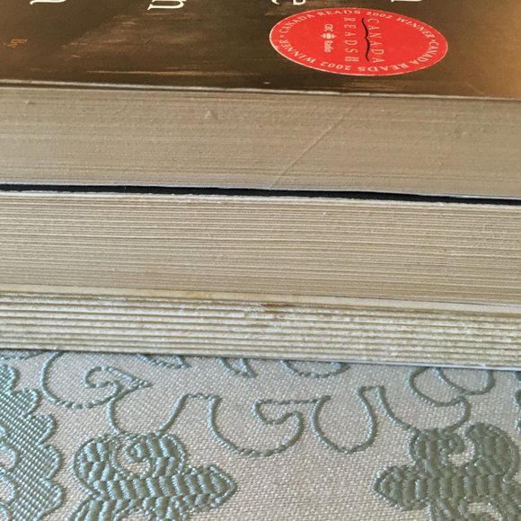 'In the Skin of a Lion' Softcover By Michael Ondaatje - Picture 6 of 8